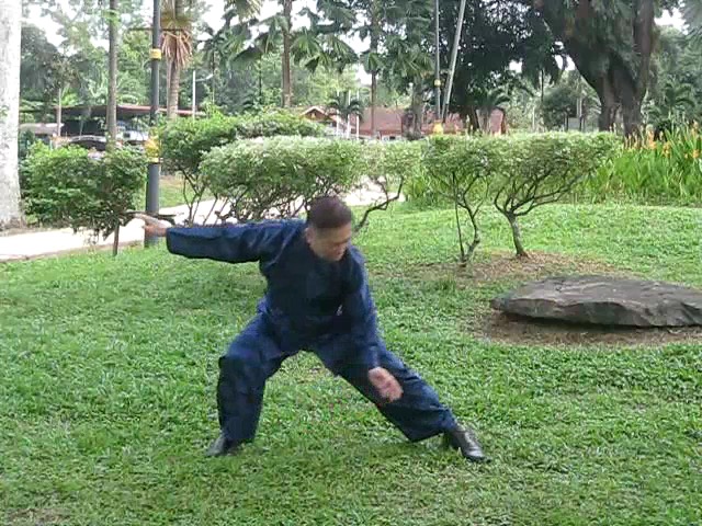 Wu Yu Xiang Style Taijiquan